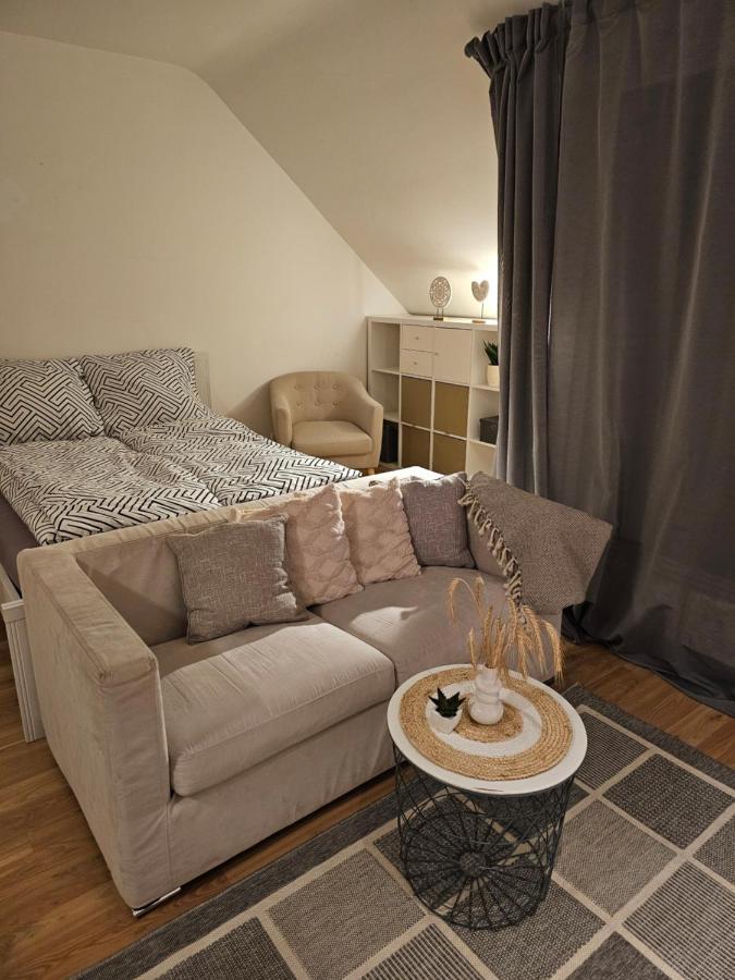 Modern Studio Near Duesseldorf Airport & Messe/Fair Meerbusch Kültér fotó